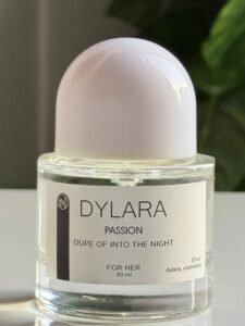 PASSION ( into the night )