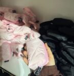 Valentines Mini Pouch 💌